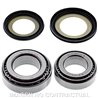 RODAMIENTOS DE DIRECCIÓN HONDA CB F HORNET S 600 (2000-2002)