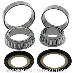 RODAMIENTOS DE DIRECCIÓN HONDA RVT R 1000 (2000-2001)