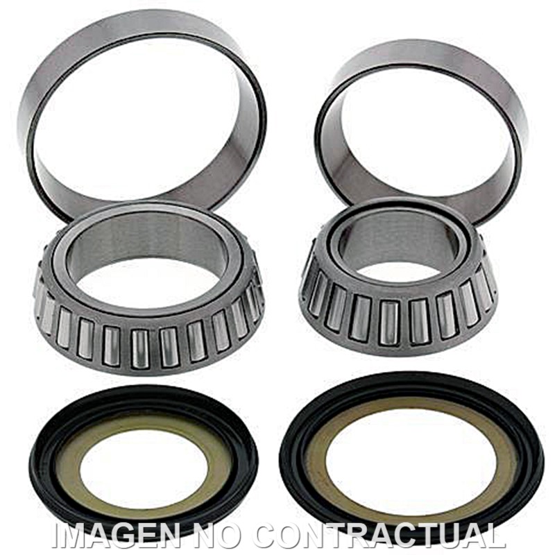 RODAMIENTOS DE DIRECCIÓN HONDA VTCX FURY 1300 (2010-2010) RODAMIENTOS DE DIRECCIÓN HONDA VTCX FURY 1300 (2010-2010)
