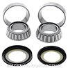 RODAMIENTOS DE DIRECCIÓN KAWASAKI KX SM 250 (2006-2007)