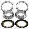 RODAMIENTOS DE DIRECCIÓN KAWASAKI VN VULCAN NOMAD FI 1600 (2005-2008)