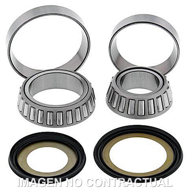 RODAMIENTOS DE DIRECCIÓN KAWASAKI ZZR NINJA 600 (2005-2008) RODAMIENTOS DE DIRECCIÓN KAWASAKI ZZR NINJA 600 (2005-2008)