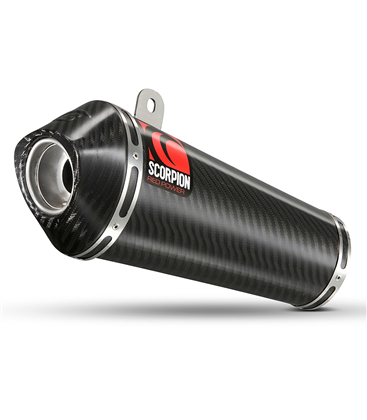 SUZUKI SFV GLADIUS 650 (09-) POWER CONE CARBONO/CARBONO