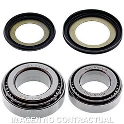 RODAMIENTOS DE DIRECCIÓN TRIUMPH BONNEVILLE 790 (2002-2006)