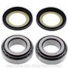 RODAMIENTOS DE DIRECCIÓN TRIUMPH STREET TRIPLE R LOW EURO5 765 (2021-2024)