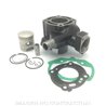 cilindro hert PEUGEOT LUDIX BLASTER RS 12 50 (2011-2013)