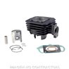 cilindro hert PEUGEOT LUDIX 10 TREND 50 (2004-2005)