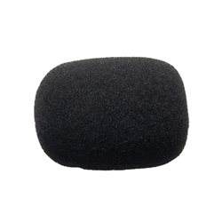 ESPONJA CARDO PARA MICRO