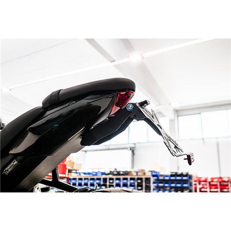 PORTAMATRÍCULAS TRIUMPH DAYTONA 660 2024-