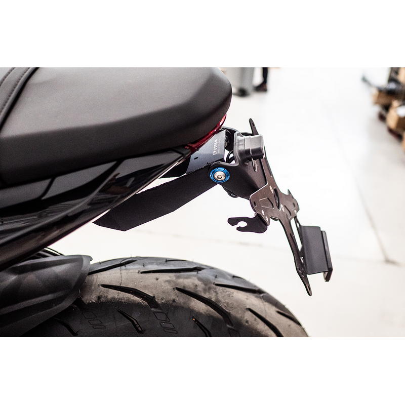 PORTAMATRÍCULAS TRIUMPH DAYTONA 660 2024-