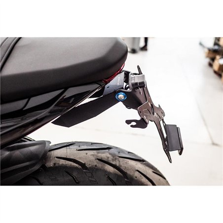 PORTAMATRÍCULAS TRIUMPH DAYTONA 660 2024-