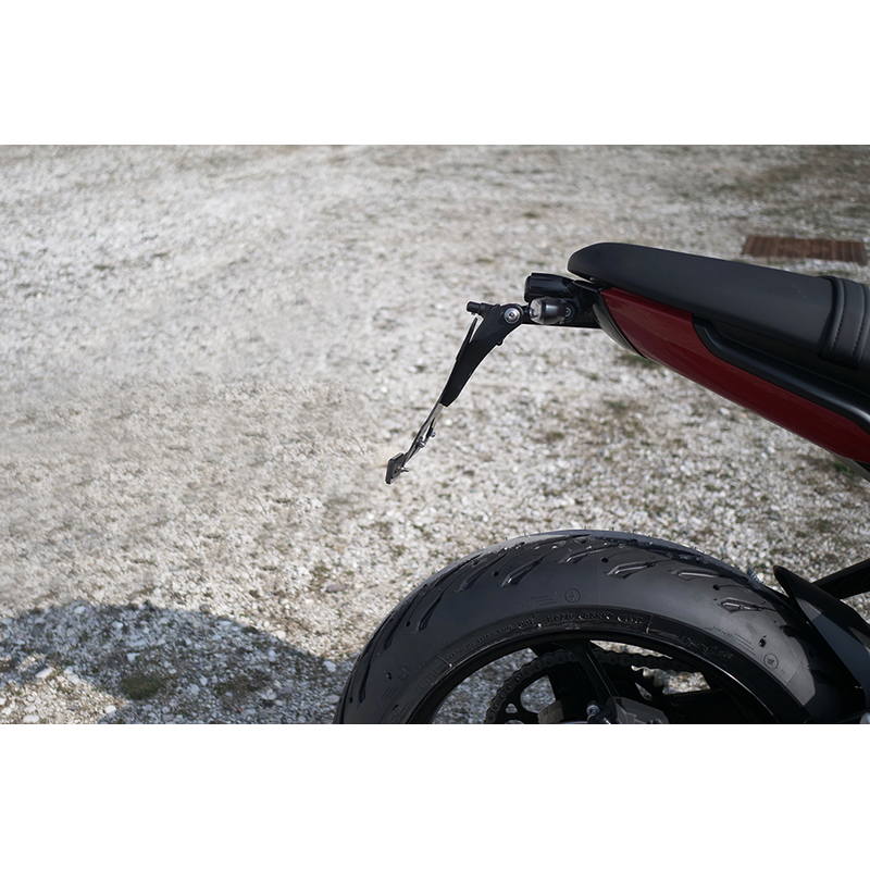 PORTAMATRÍCULAS TRIUMPH TRIDENT 660 2021-2024