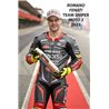 DUCATI SUPERSPORT 900 (1991-1997) BOBINA ALTA TENSION