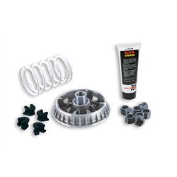 APRILIA ARRECIFE SPRINT 500 (2005-2008) VARIADOR MALOSSI MULTIVAR 2000