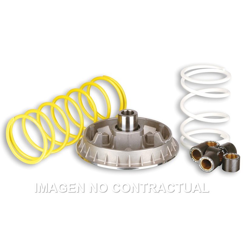 HONDA FES FORESIGHT 250 (1997-2006) VARIADOR MALOSSI MULTIVAR 2000