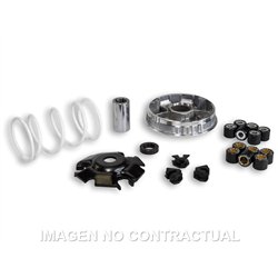 KAWASAKI J (2014-2015) 300 (2014-2015) VARIADOR MALOSSI MULTIVAR