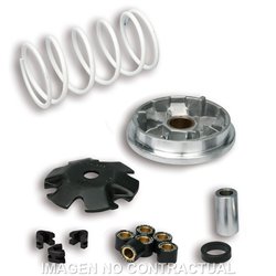 PEUGEOT VIVACITY S/ANTIFURTO AJP 50 (1999-2007) VARIADOR MALOSSI MULTIVAR