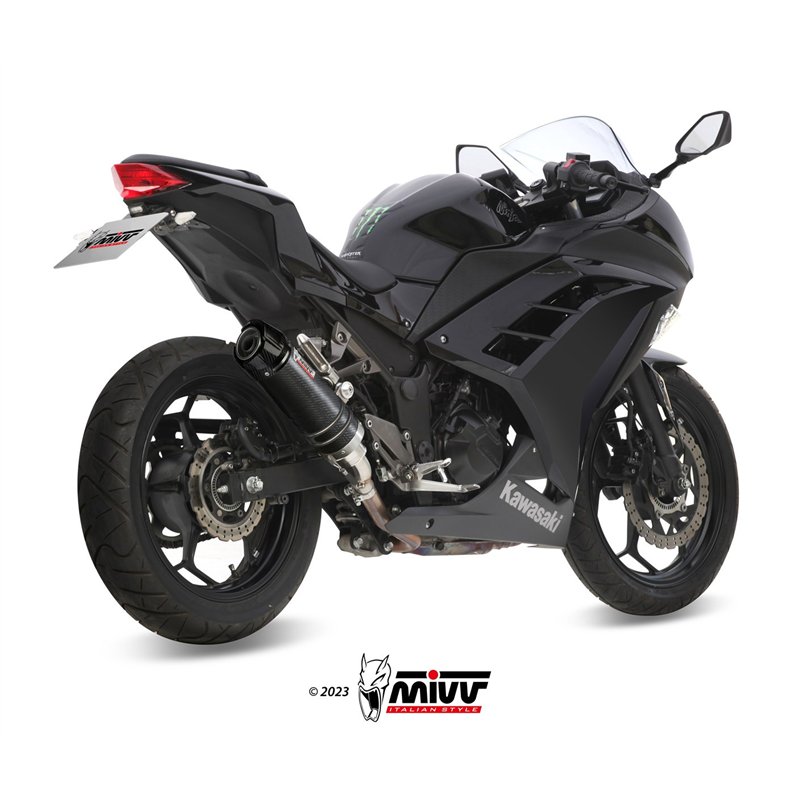 KAWASAKI NINJA 300 2013 - 2016 GP CARBONO CON COPA CARBONO