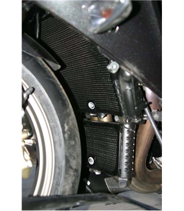 BMW HP4 2009 - 2010 PROTECTOR RADIADOR AGUA