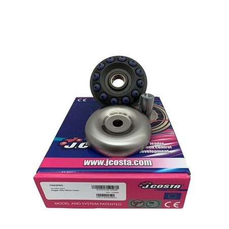 VARIADOR PRO PARA PIAGGIO LIBERTY 150 LEADER 2001 - 2003