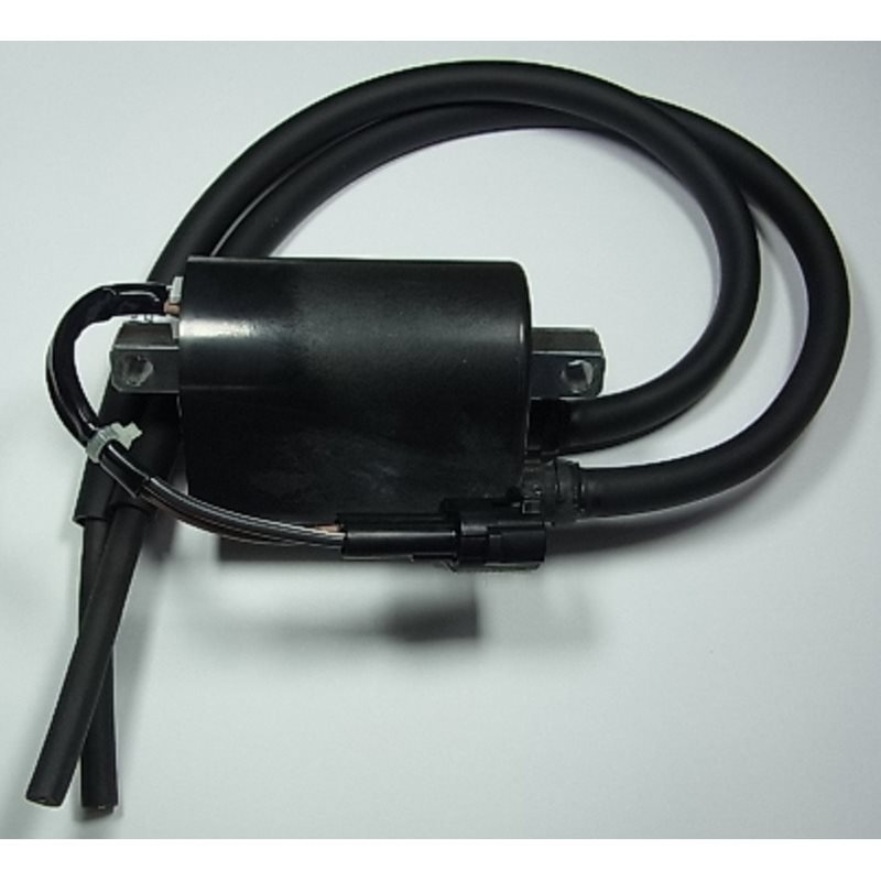 bobina de alta SUZUKI DL650V-STROM 2007 - 2011 bobina de alta SUZUKI DL650V-STROM 2007 - 2011