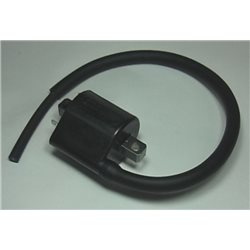 bobina de alta SUZUKI DL650V-STROMABS 2006