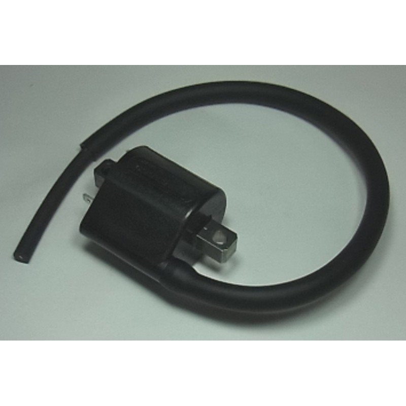 bobina de alta SUZUKI DL650V-STROMABS 2006