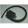 bobina de alta SUZUKI DL650V-STROMABS 2006