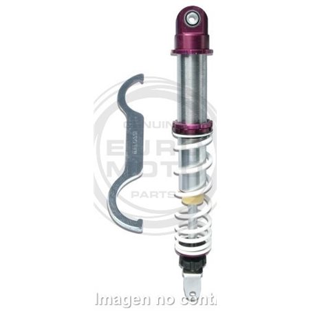 AMORTIGUADOR TRASERO MALOSSI RS24 DNA 50