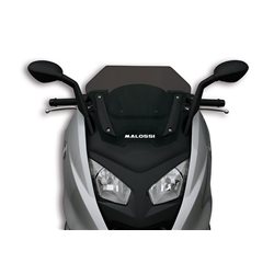 CUPULA SPORT BMW C600 AHUMADA MALOSSI