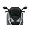 CUPULA SPORT BMW C600 AHUMADA MALOSSI