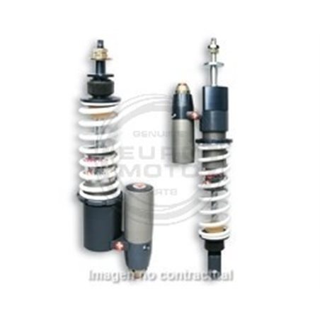 AMORTIGUADORES DELANTERO-TRASERO RS 24/10 ZIP SP