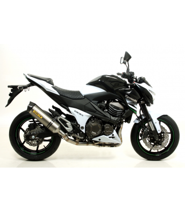 KAWASAKI Z 800 2013 - 2016 SILENCIOSO RACE-TECH DE CARBONO FONDO EN CARBONO