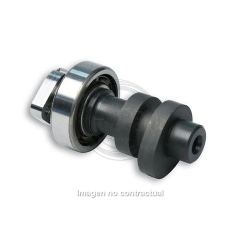 ÁRBOL DE LEVAS MALOSSI POWER CAM HONDA SH 300
