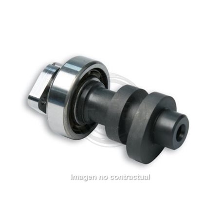 ÁRBOL DE LEVAS MALOSSI POWER CAM HONDA SH 300