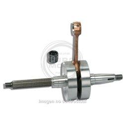 CIGUEÑAL TROFEO PIAGGIO ZIP