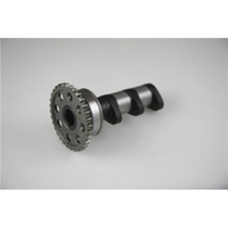 Arbol de levas HOT CAMS ESCAPE - Stage 1