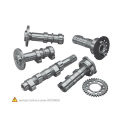 Arbol de levas HOT CAMS - Stage 1 Honda CRF150R