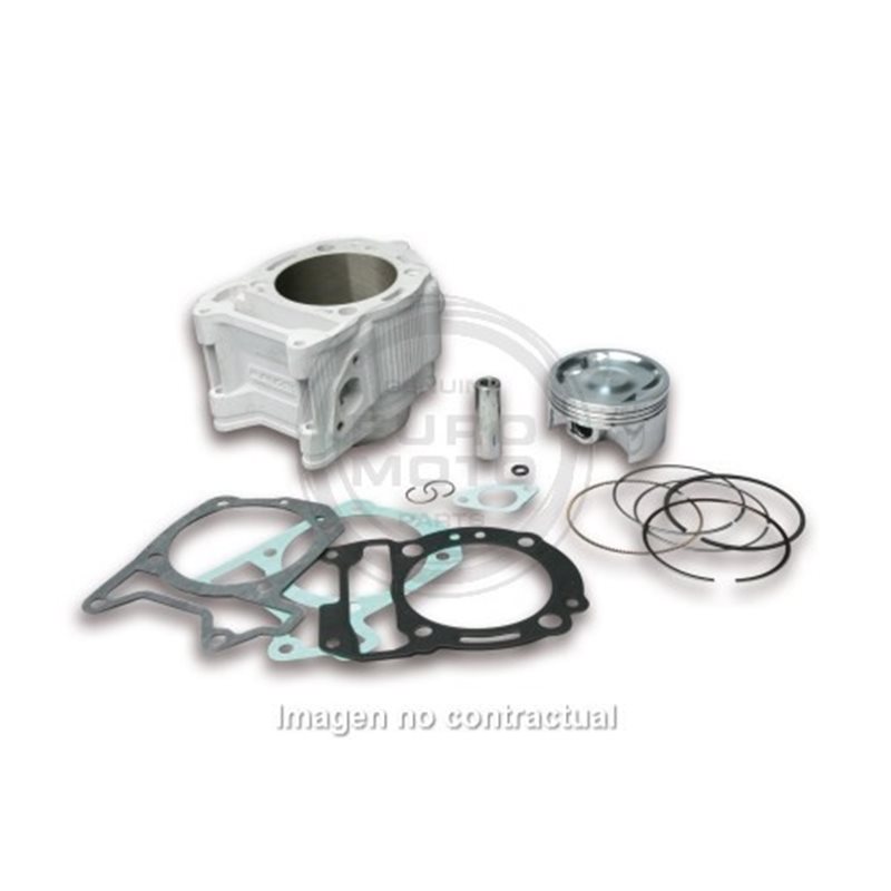CILINDRO MALOSSI S/CULATA D.75,5MM PIAGGIO 300 CILINDRO MALOSSI S/CULATA D.75,5MM PIAGGIO 300