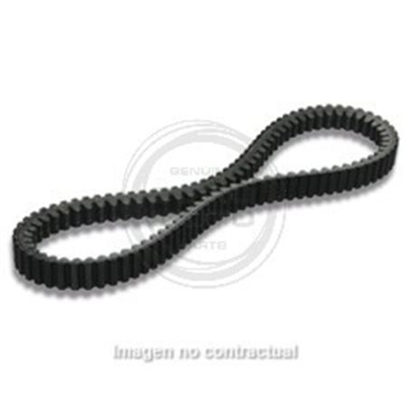 CORREA X KEVLAR BELT BEVERLY 200