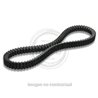 CORREA X KEVLAR BELT BEVERLY 200