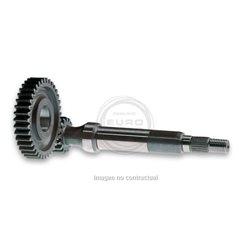 DESARROLLO EJE PRIMARIO, PIÑÓN VESPA ZIP 50