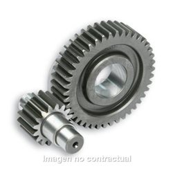 DESARROLLO SECUNDARIO PIÑÓN 16 EJE SEC 42 VX, VXR