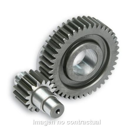DESARROLLO SECUNDARIO PIÑÓN 16 EJE SEC 42 VX, VXR