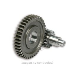 DESARROLLO SECUNDARIO MOTOR MINARELLI 50