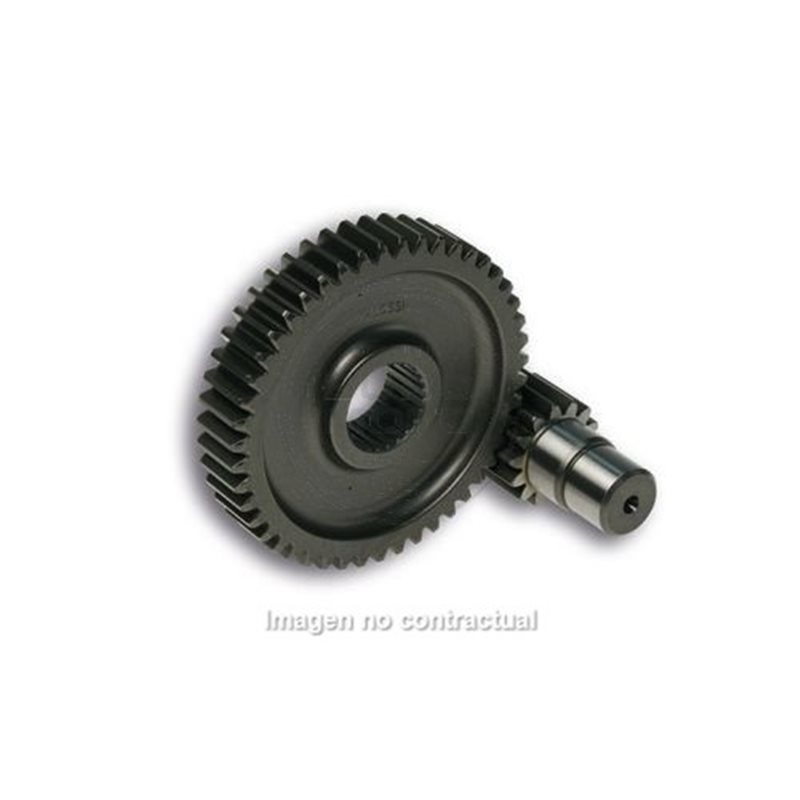 DESARROLLO SECUNDARIO LARGO 14/47 DIENTES ZIP DESARROLLO SECUNDARIO LARGO 14/47 DIENTES ZIP