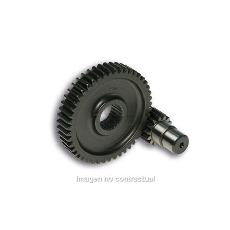 DESARROLLO SECUNDARIO LARGO 14/47 DIENTES ZIP