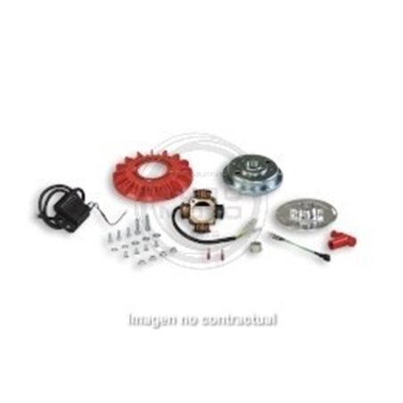 ENCENDIDO MALOSSI VESPOWER VESPA PX 125