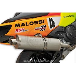 ESCAPE MALOSSI WILD LION YAMAHA T-MAX 500