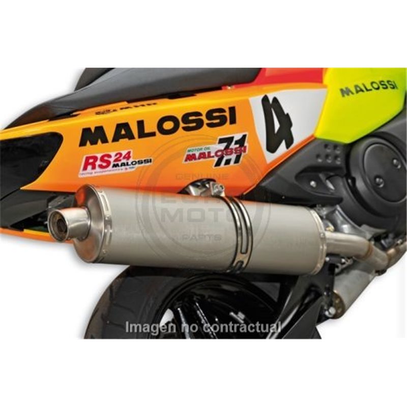 ESCAPE MALOSSI WILD LION YAMAHA T-MAX 500